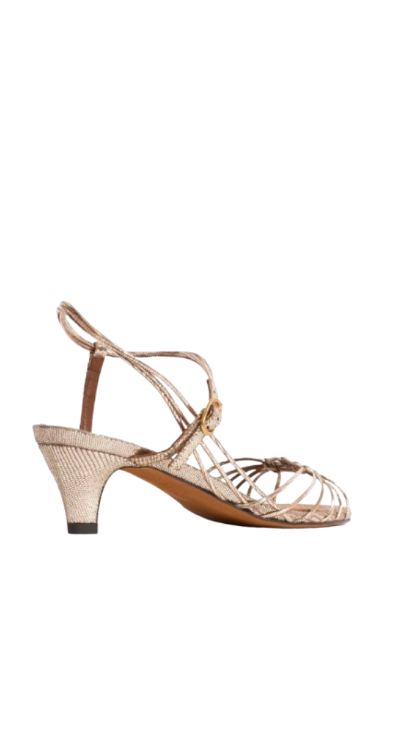 Talons Savannah - Champagne