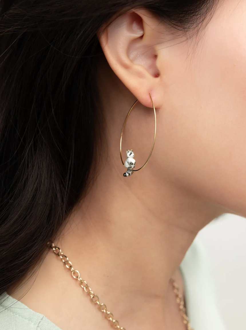 Petites créoles - Raton Laveur