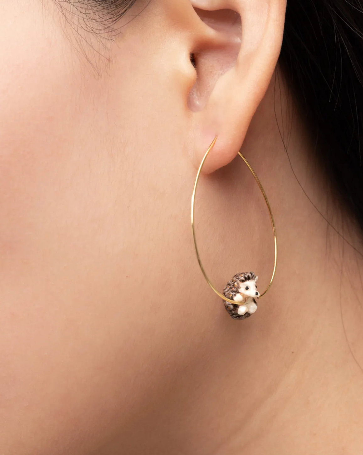 Petites créoles - Hérisson